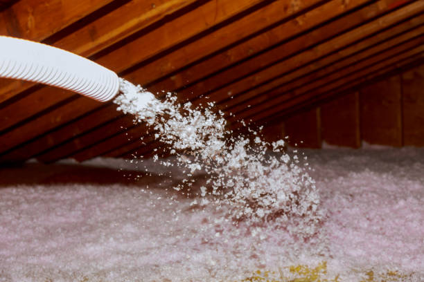 Best Local Insulation Services  in Clark Mills, NY