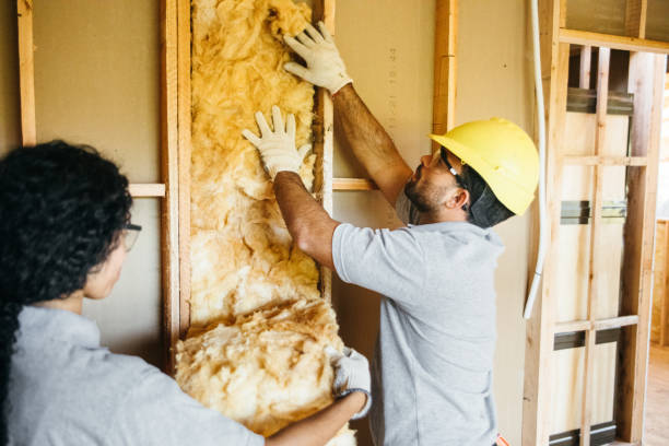 Best Wall Insulation Contractor  in Clark Mills, NY