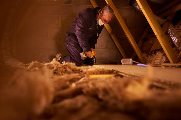 Best Insulation Contractors for Homes  in Clark Mills, NY